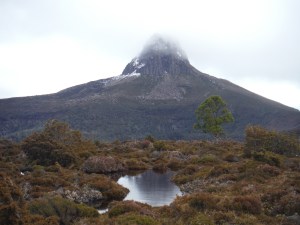 Overland Track 097