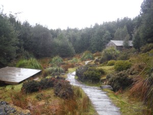 Overland Track 244