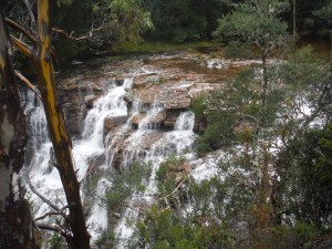 Overland Track 286