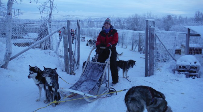 Living the Arctic Life! Cross Country Skiing, Dog Sledding and Learning About The Sami