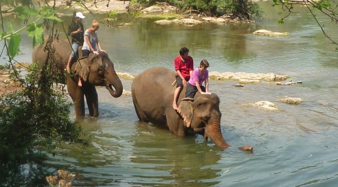 Elephant Riding and Bathing in Luang Prabang
