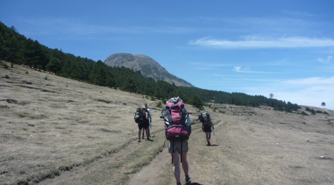 The Backpackers Big 4