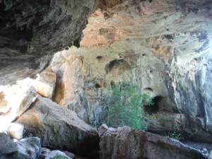 melbs and orange 228