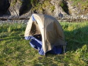 more newfie scotias 018