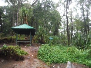 Gili T and Rinjani 032