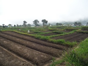 Gili T and Rinjani 220