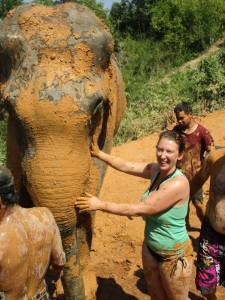 elephant mud 1