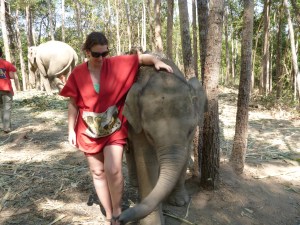 elephant sanctuary 090