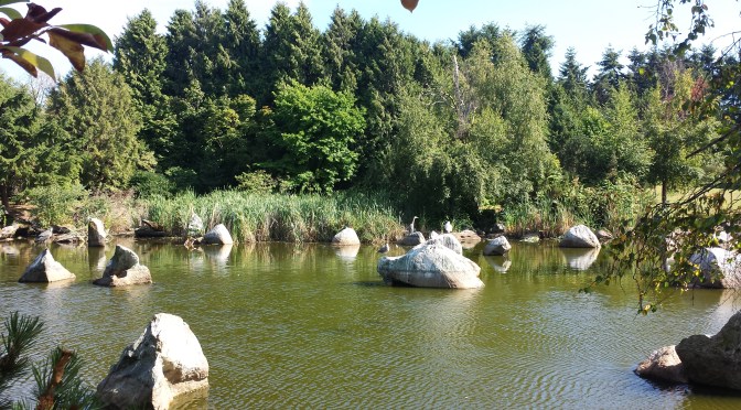 “6’2 because apparently it matters”