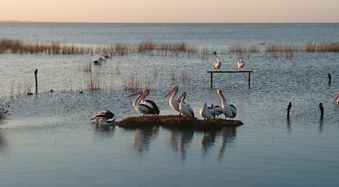 Shit I Learned On The Way To Adelaide